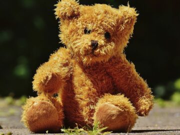 «Cute teddy bear, stuffed animal»/ CC0 1.0