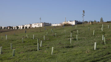 El Bosque “Secuestrador de Carbono".