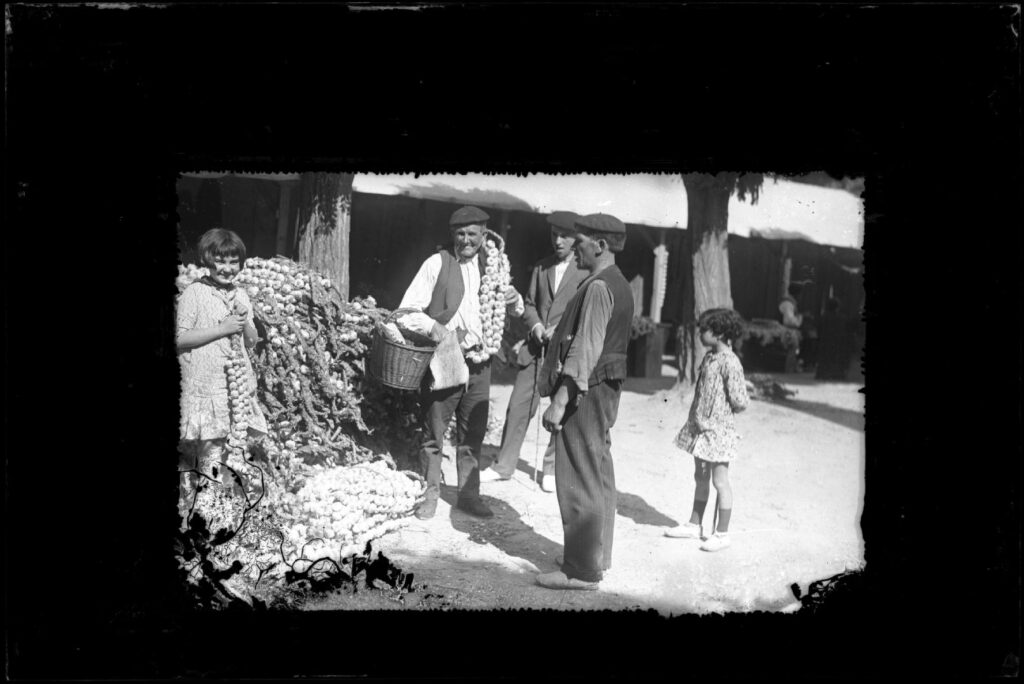Venta de ajos en la plaza de Recoletas. Galle Gallego, José. FOTÓGRAFO.